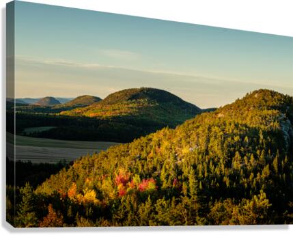 Doux pays Canvas Print