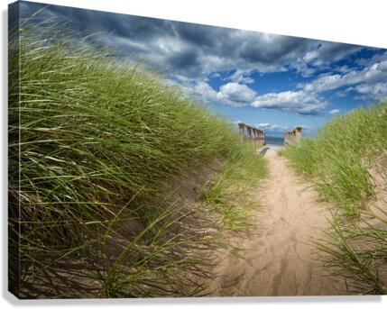Evasion Canvas Print