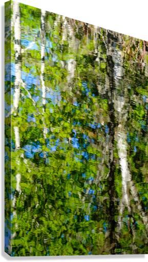 Reflexions Canvas Print