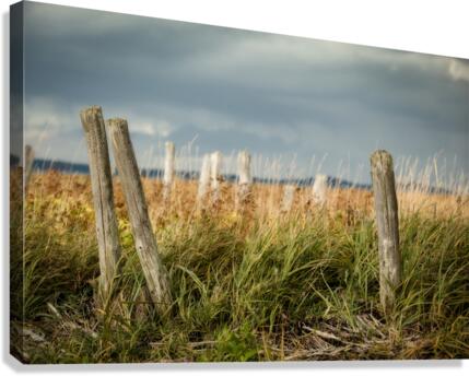 Spectres Canvas Print