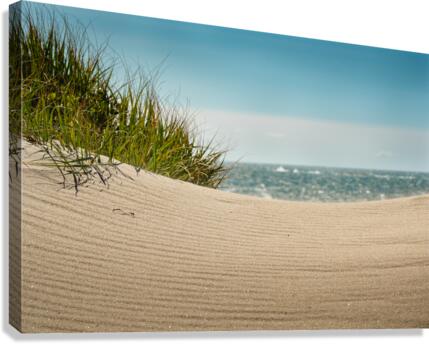 Microsillons Canvas Print
