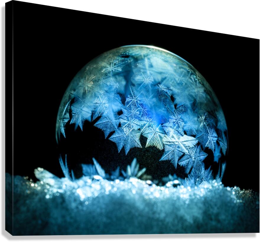 Cest l hiver Canvas Print