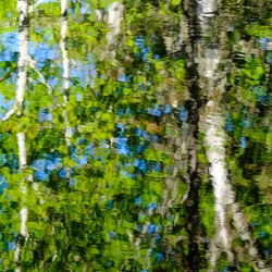 Reflexions