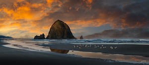 Morningtide