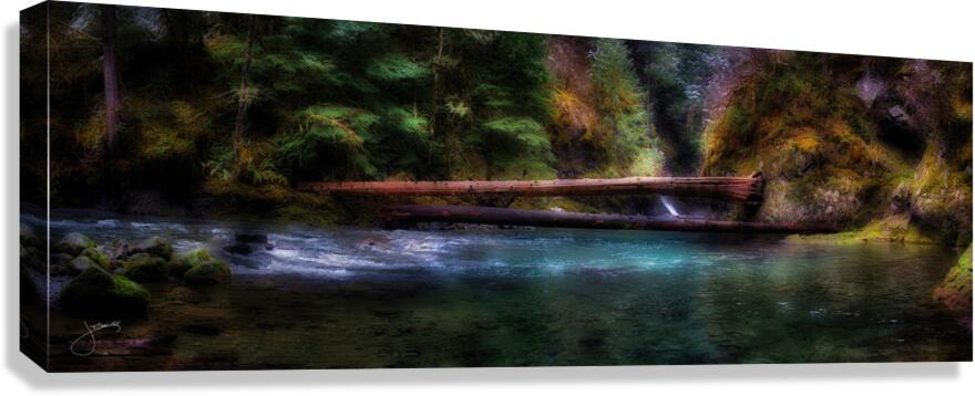 Winter s Touch Canvas Print