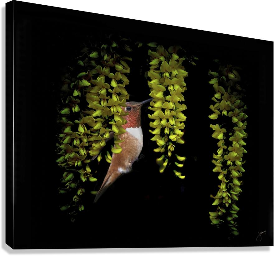 Pablum Canvas Print