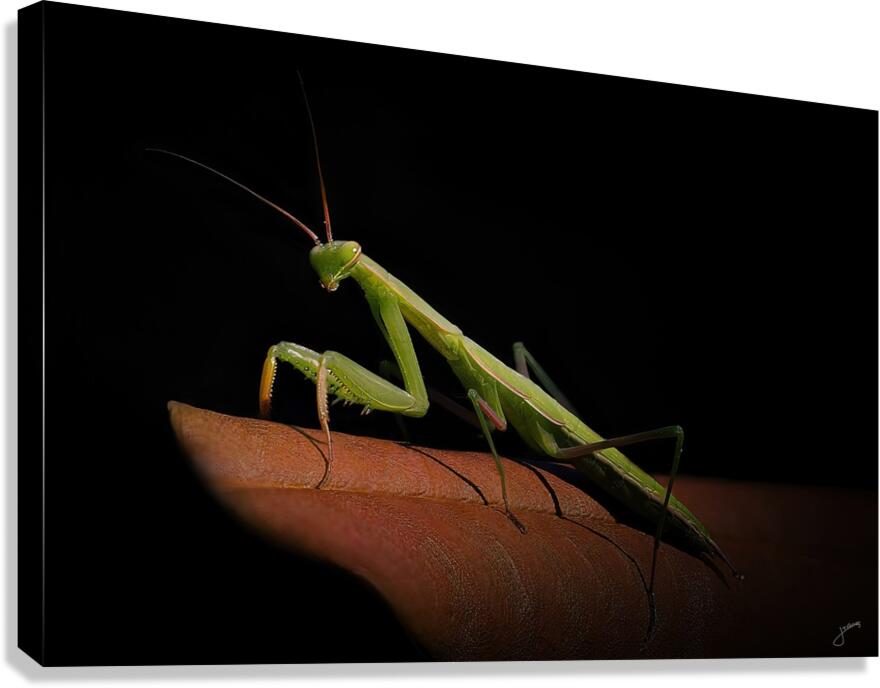 Stickman Canvas Print