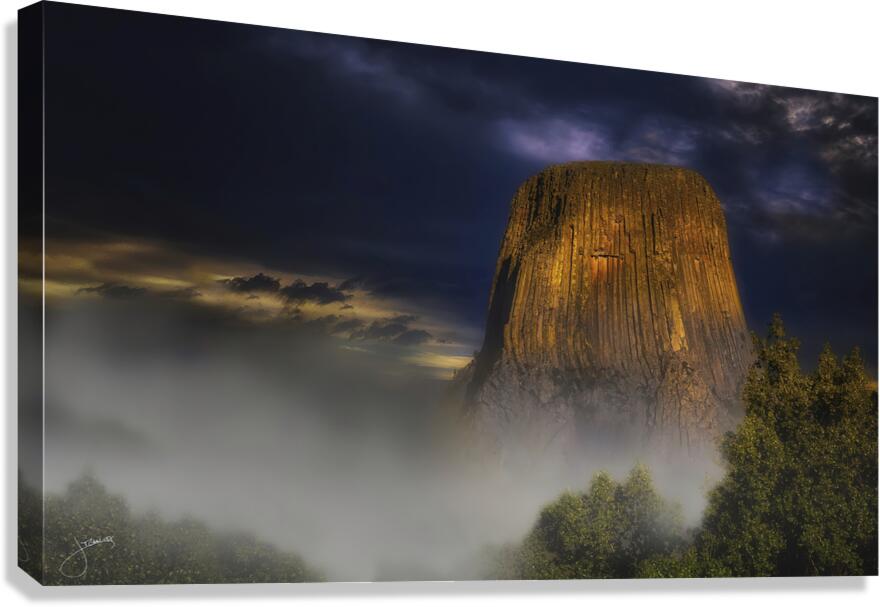Intrusion Canvas Print
