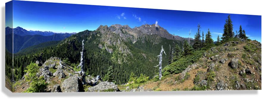 Mt. Constance from Valhalla Canvas Print