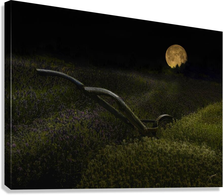 Lavender Moon Canvas Print