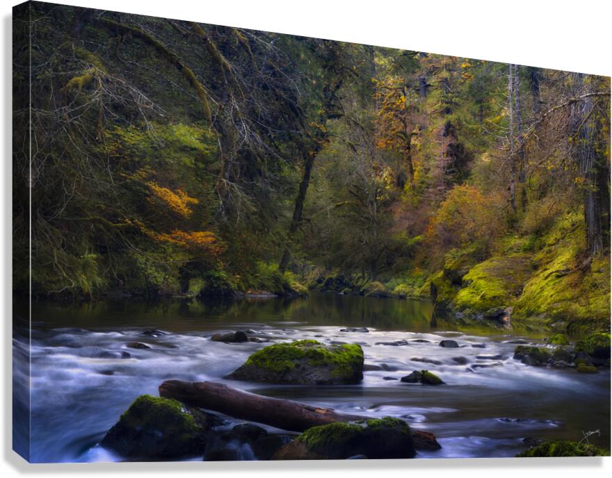 Autumns Return Canvas Print