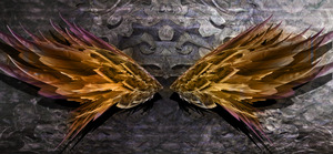 Zenith