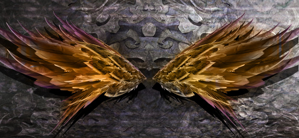 Zenith Print