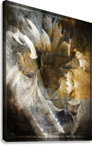 Asia Canvas Print
