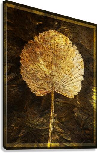 Palm Canvas Print
