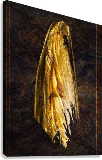 Apparition Canvas Print