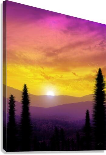 Intentional Canvas Print