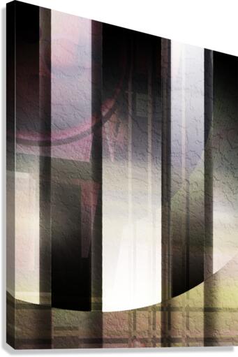 Perception Canvas Print