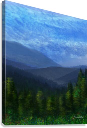 Old Man Canvas Print