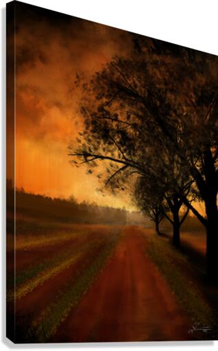 Grove Canvas Print