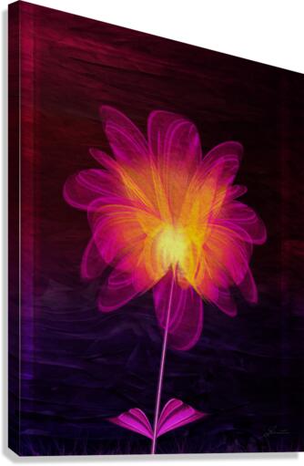 Nelumbo Canvas Print