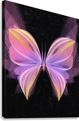 Softly Canvas Print