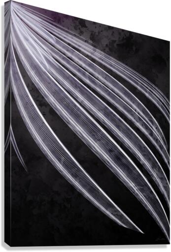 Whisk Canvas Print