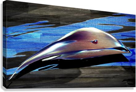 Swim Canvas Print