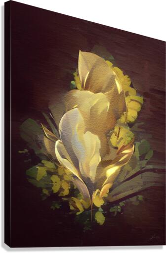 Flourish Canvas Print