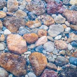 Riverbed Gems