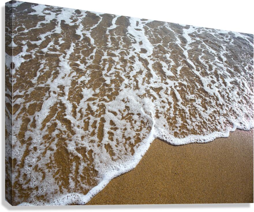 Sea Canvas Print