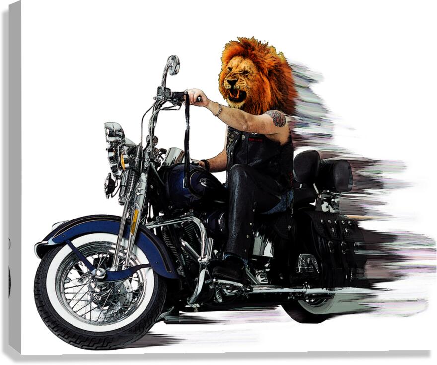 Biker  Canvas Print