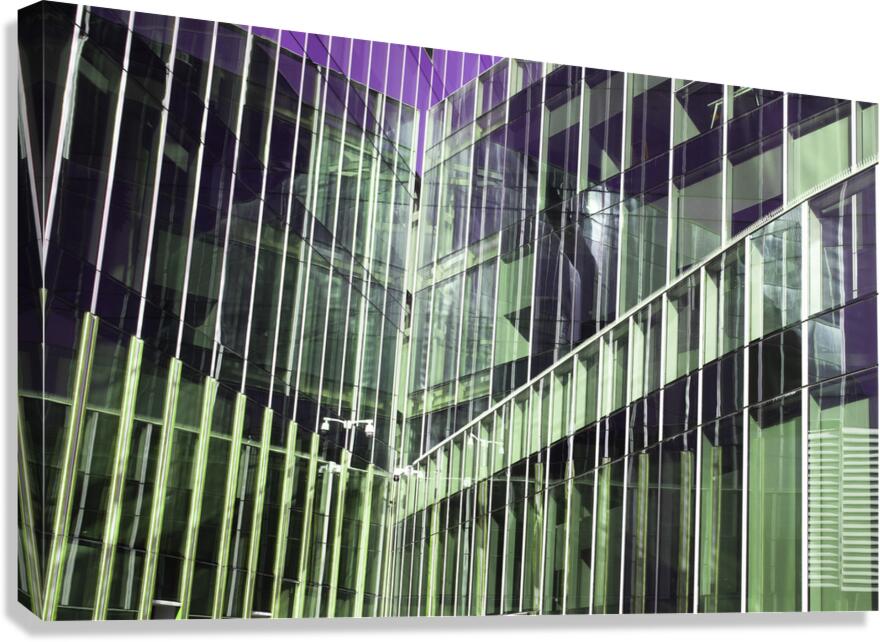 Reflection  Canvas Print