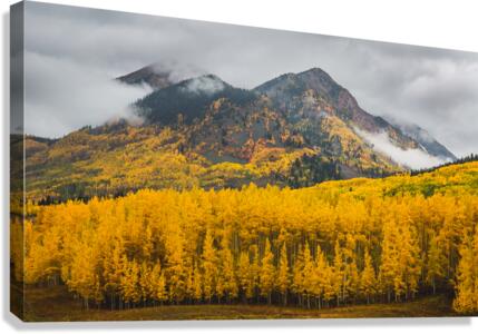 Fall Mountain Colors Canvas Print