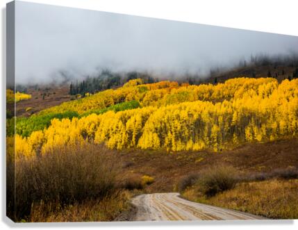 Fall Mountain Road Canvas Print