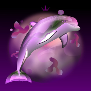 DripDrop Dolphin