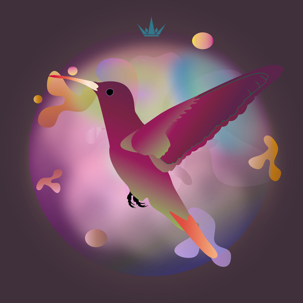 Dolichos Beans Humming Bird by Alan Carmichael