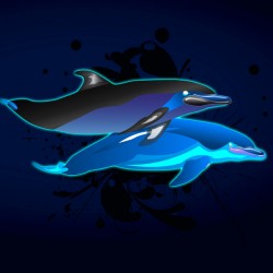 2Blue Dolphins