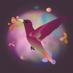 Dolichos Beans Humming Bird