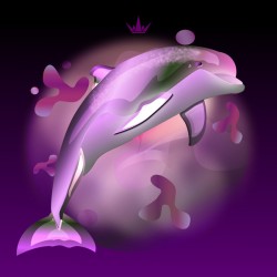 DripDrop Dolphin