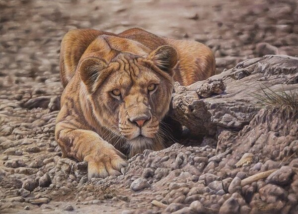 crawl in raw attack Print
