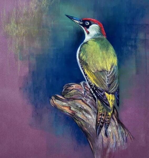 on the tree stump by WATTY