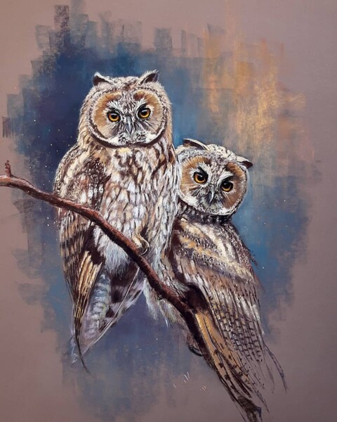 owls in tow by WATTY