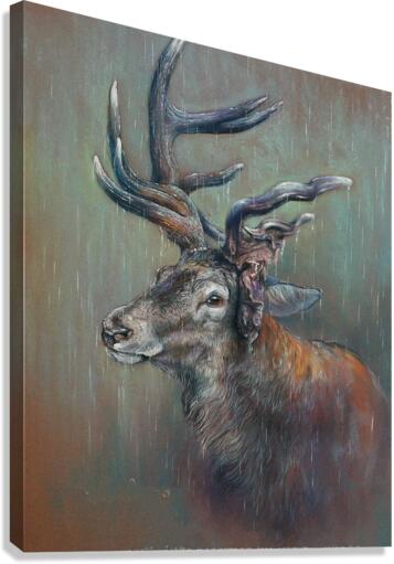 timid in rigid Canvas Print