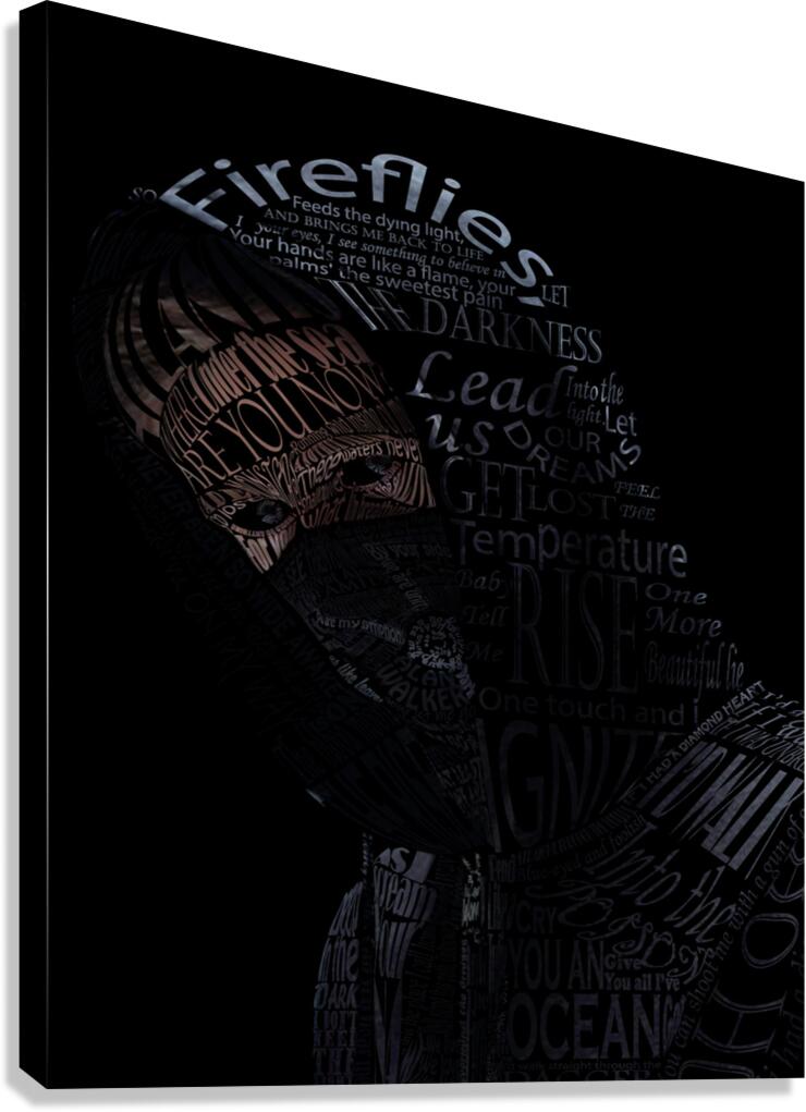 Alan Walker Canvas Print