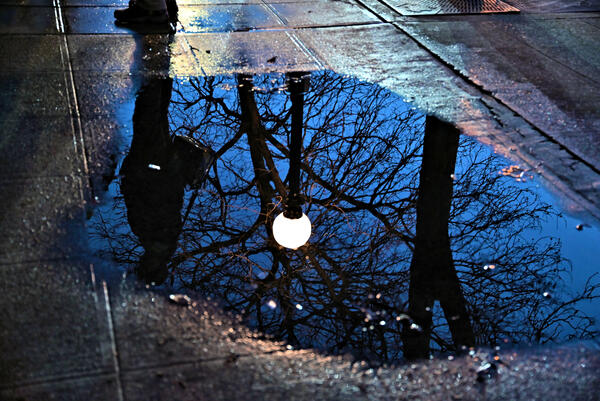 Night Reflection Print