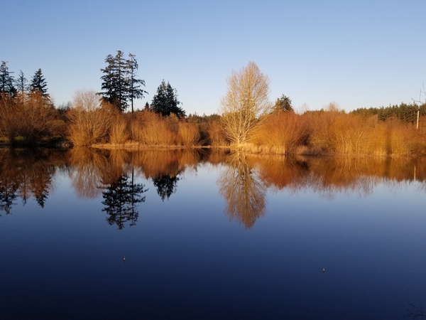 Second Chances Print