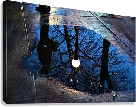 Night Reflection Canvas Print