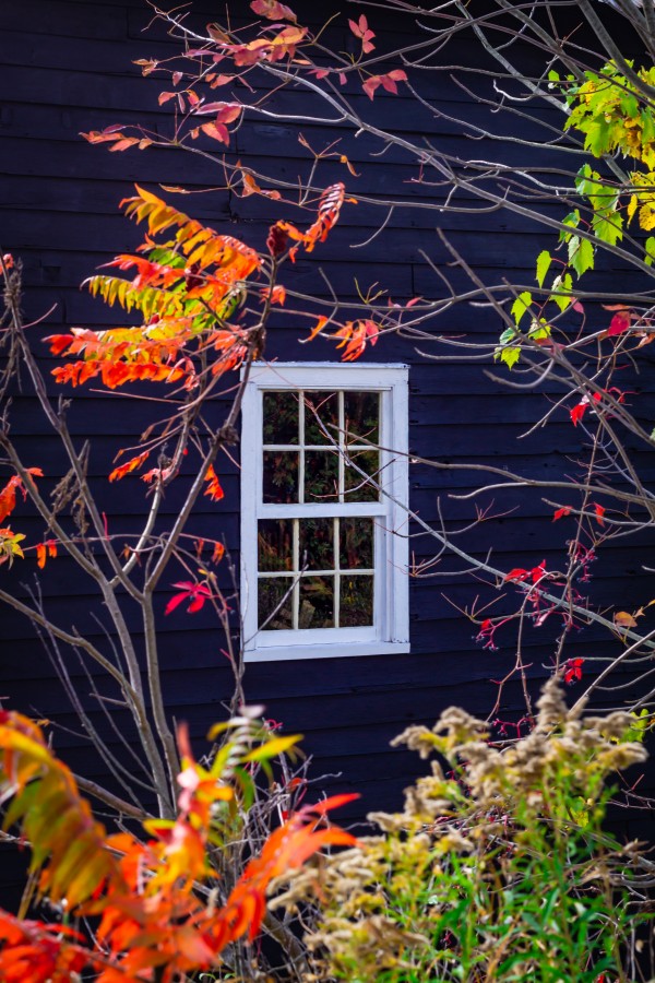 Autumn Window Print