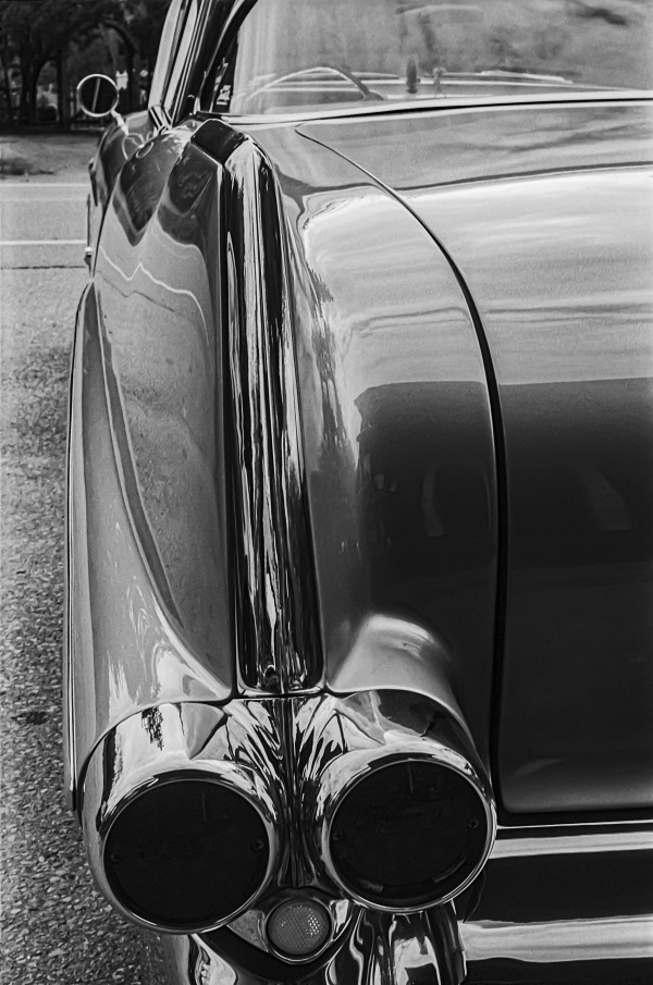 Chrome Sharkfin Print